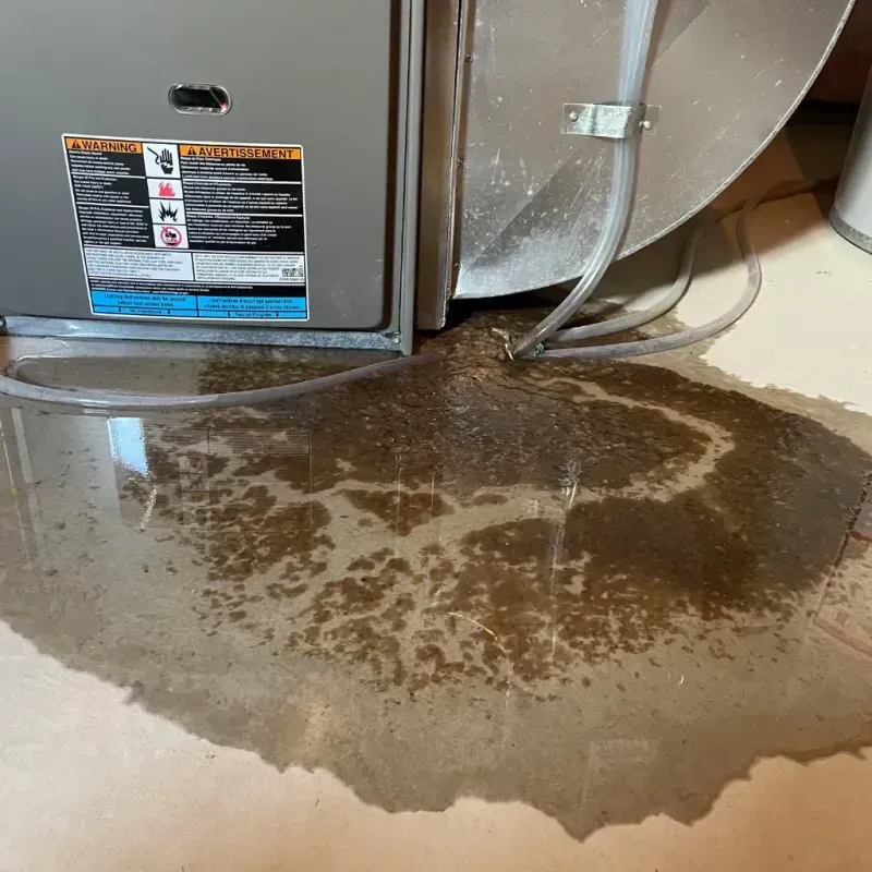 Appliance Leak Cleanup in Wallburg, NC